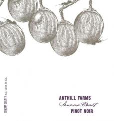 Anthill Farms - Pinot Noir Sonoma Coast 2021 (750ml) (750ml)