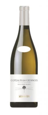 Clement et Florian Berthier - Coteaux du Giennois Sauvignon Blanc 2022 (750ml) (750ml)