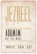 Jezreel Valley Winery - Adumim Red 2018 (750)